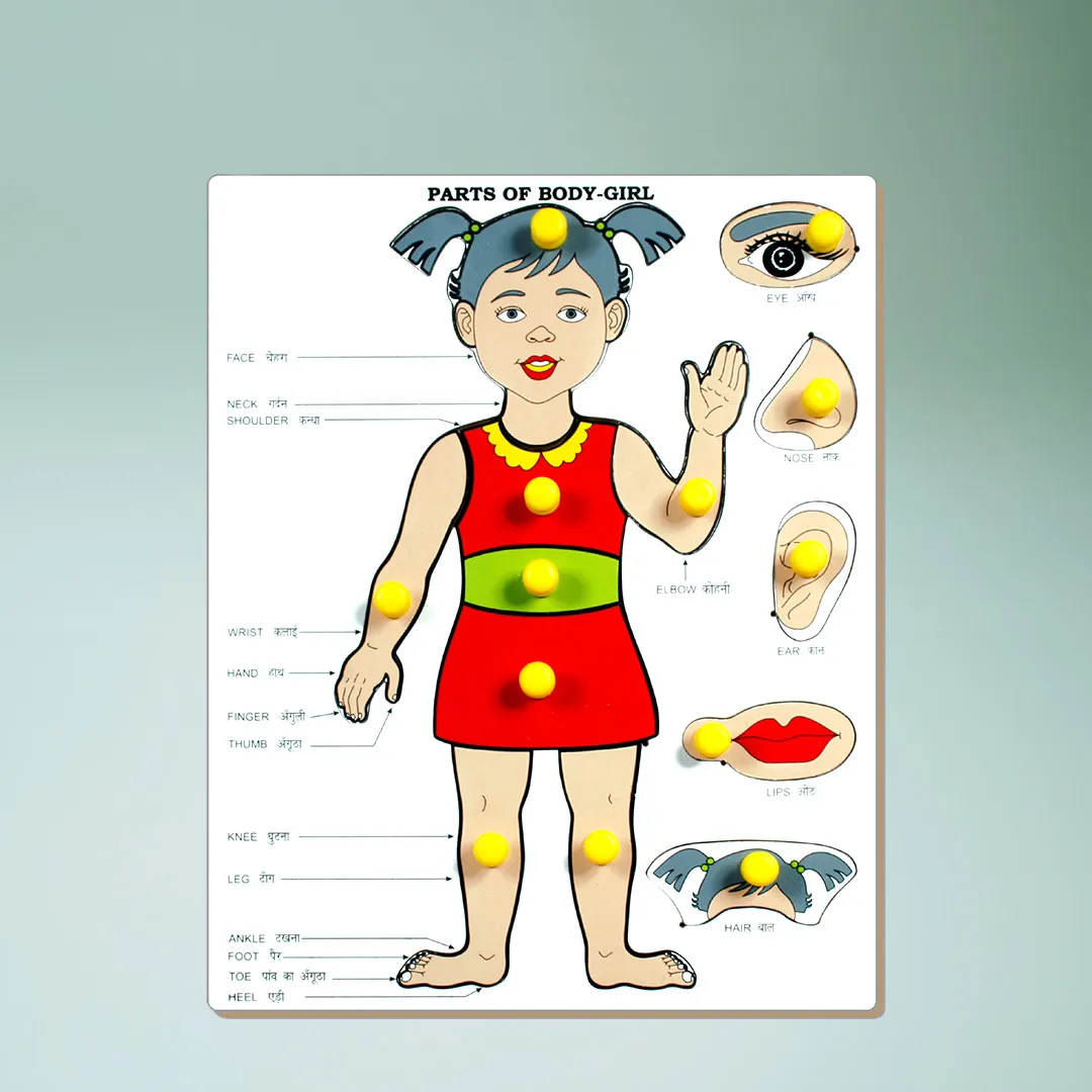 A poster featuring a girl in a red dress with a labeled diagram showcasing her body parts.